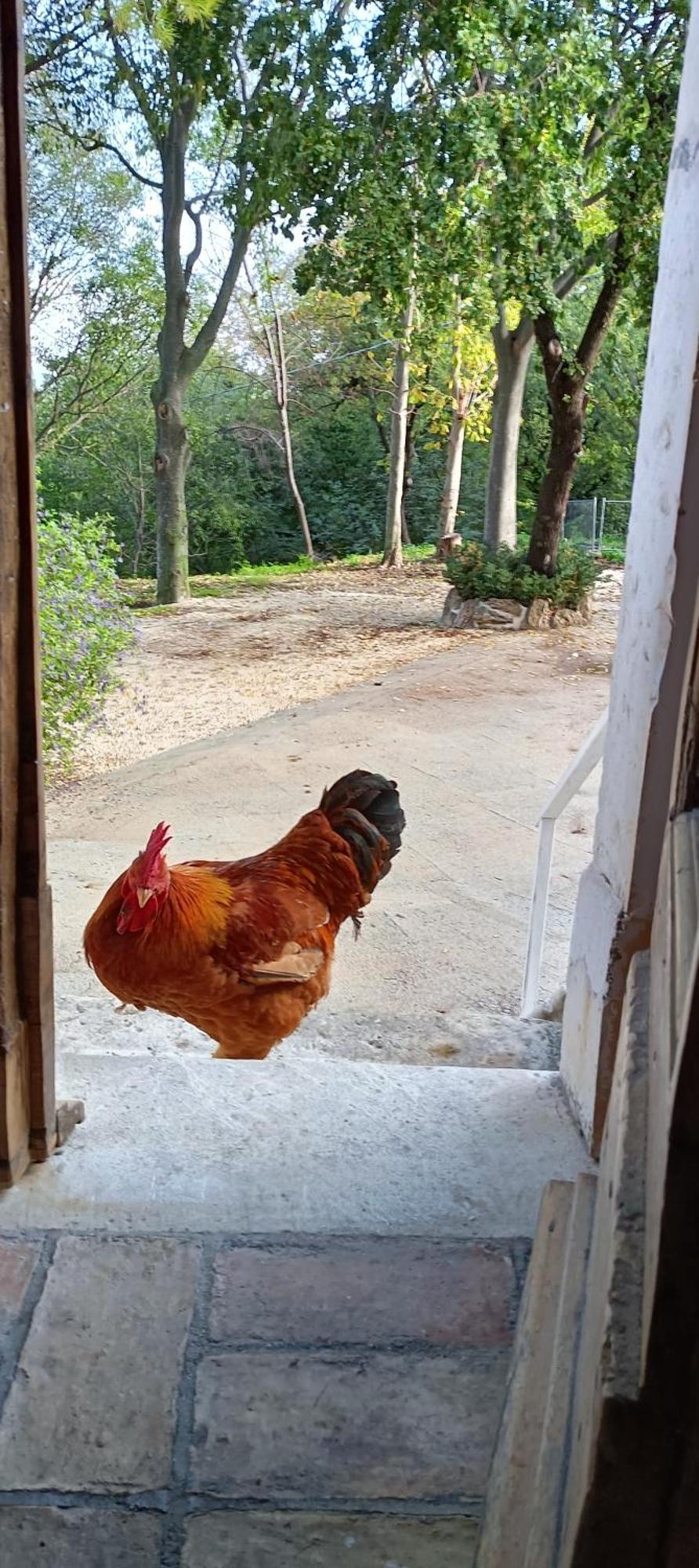 Azienda Agrituristica La Torretta Tocco da Casauria Zewnętrze zdjęcie